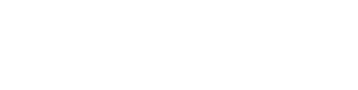 light logo